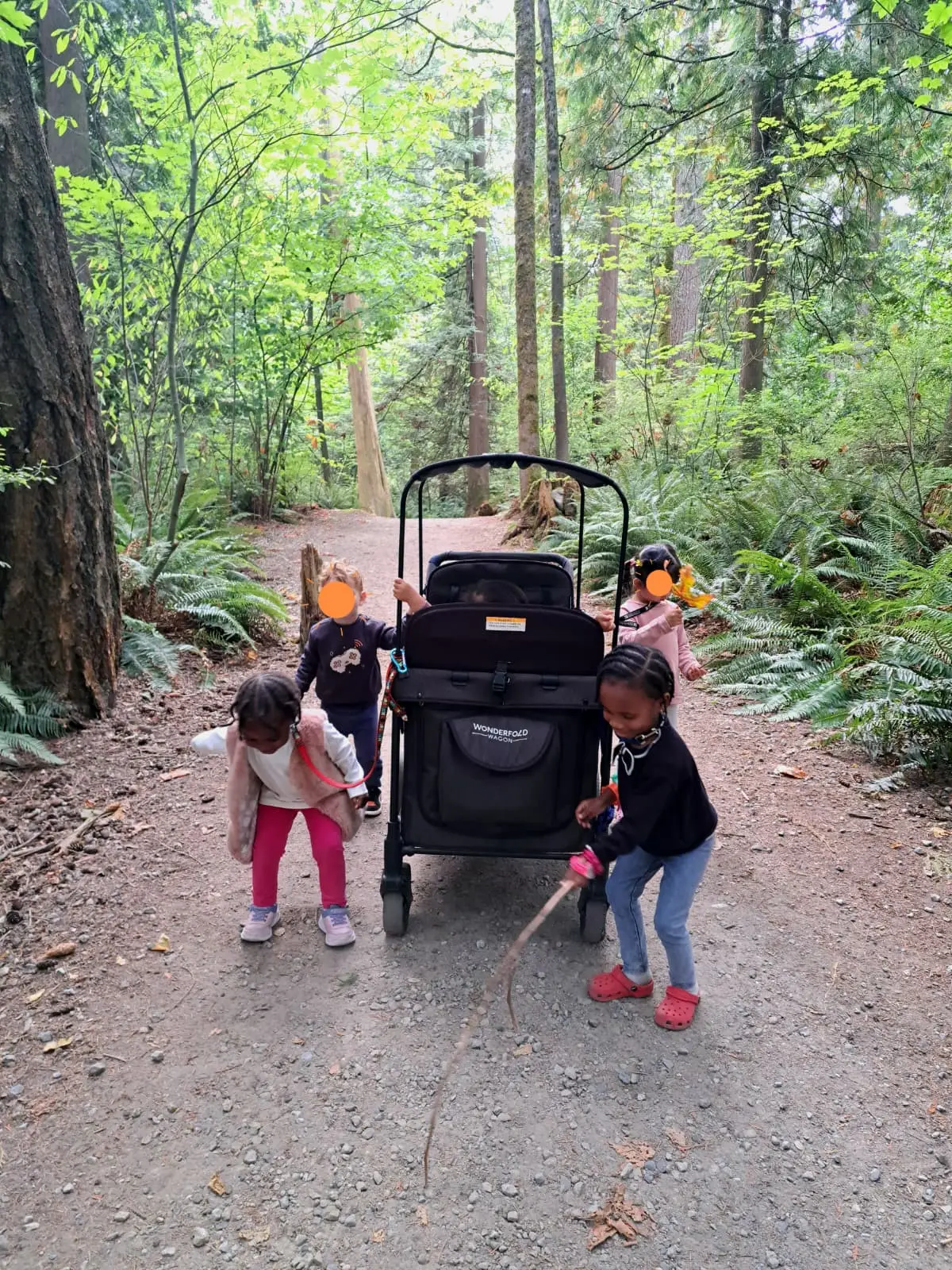 Children pushing a stroller wagon along a forest trail